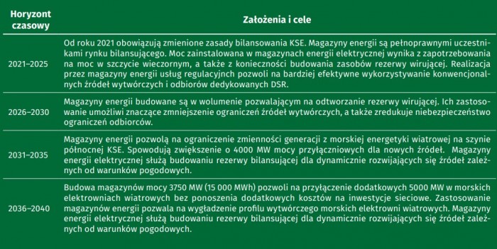 Rynek magazynów energii w Polsce - scenariusz optymalny
