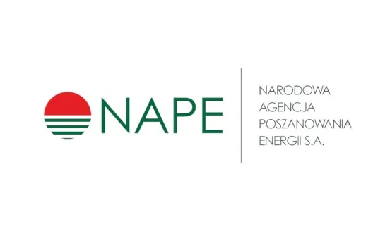 NAPE - logo