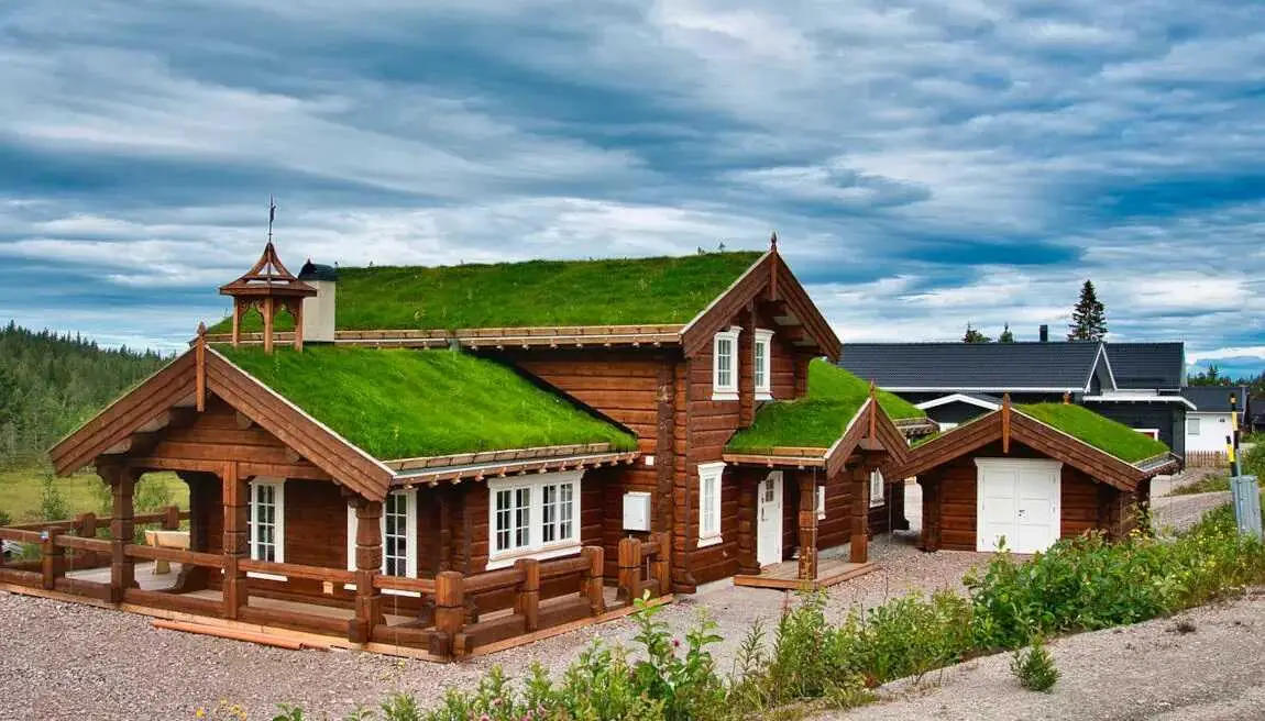 Zielony dach znacząco zwiększa uzyski z fotowoltaiki